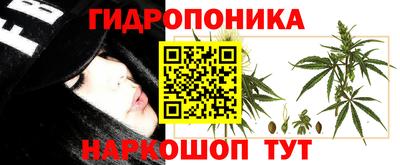 ПСИЛОЦИБИНОВЫЕ ГРИБЫ Нальчик